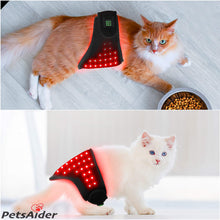 Load image into Gallery viewer, 660nm 850nm Infrared Red Light Therapy Belt Wrap Home Use Veterinary Instrument for Pet Treatment
