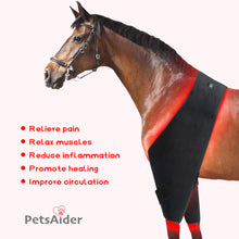 Load image into Gallery viewer, equine red light therapy wraps for hip stifle belly barrel thigh
