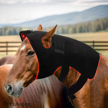 Load image into Gallery viewer, Wearable Red Light Therapy Wrap for Equine Head &amp; Neck
