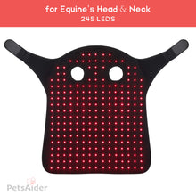 Load image into Gallery viewer, equine red light therapy belts for horse head and neck
