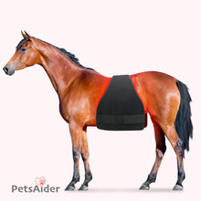 Load image into Gallery viewer, red light therapy wraps for equine hip stifle belly barrel thigh
