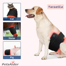 Load image into Gallery viewer, red light therapy pad for dog horse cat pets 660nm 850nm
