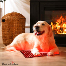 Load image into Gallery viewer, dog red light therapy mat 660nm 850nm
