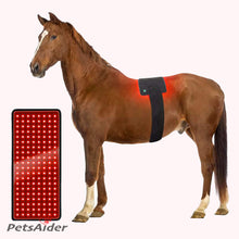 Load image into Gallery viewer, pet red light therapy mat 660nm 850nm
