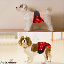 Load image into Gallery viewer, Infrared Red Light Therapy Wrap Veterinary Instrument for Pet Care
