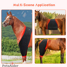 Load image into Gallery viewer, horse red light therapy pad
