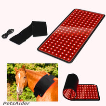 Load image into Gallery viewer, pet infrared light therapy pad for dog horse cat pets 660nm 850nm
